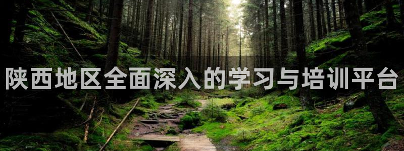 新宝5系列