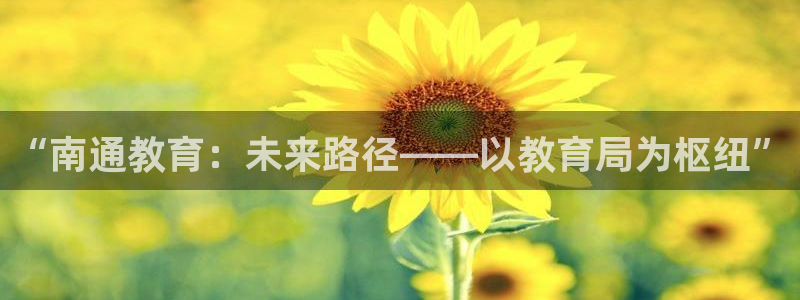 新宝5现在还能玩吗