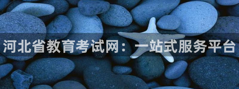 新宝5什么时候上市