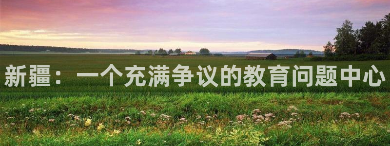 新宝5是什么样子的