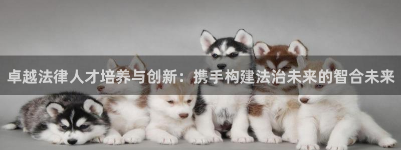 新宝5现在还能玩吗