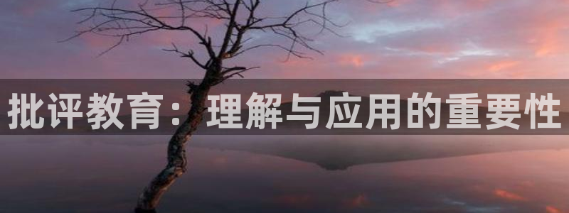 新宝股东王听2 5 5