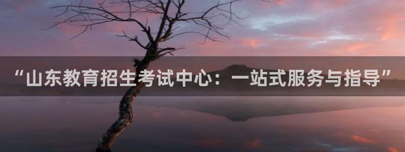 新宝5官网67五壹叁八