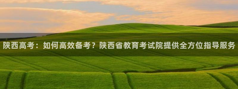 新宝5是什么样子的