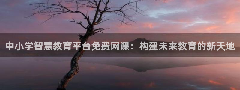 有人知道新宝5么