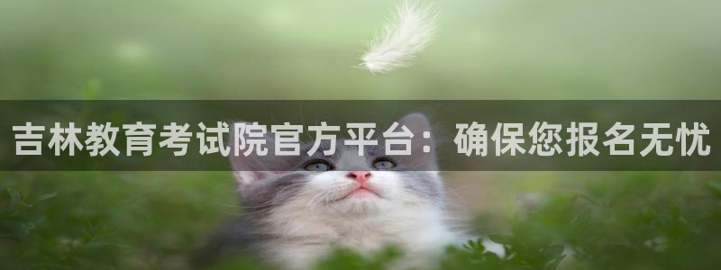 新宝5苹果手机下载