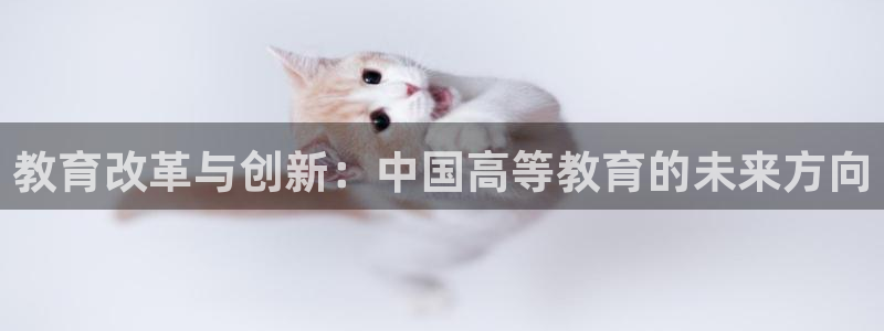 菲律宾新宝5老板