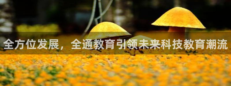 新宝5现在还能玩吗