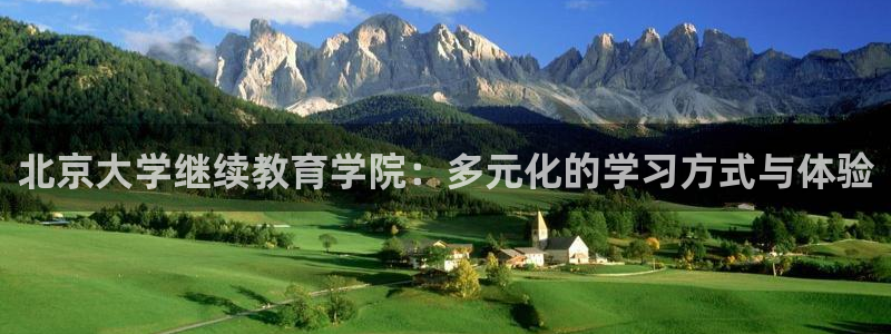 新宝堂新会陈皮5年